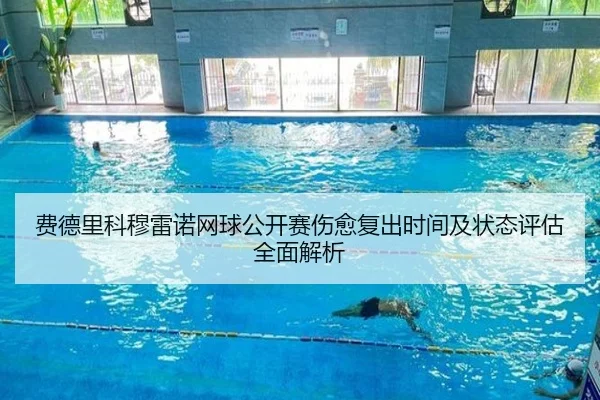 费德里科穆雷诺网球公开赛伤愈复出时间及状态评估全面解析